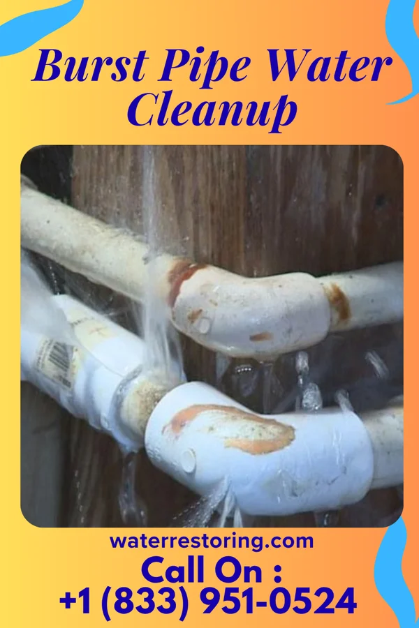 Burst Pipe Water Cleanup in Morrison, IA
