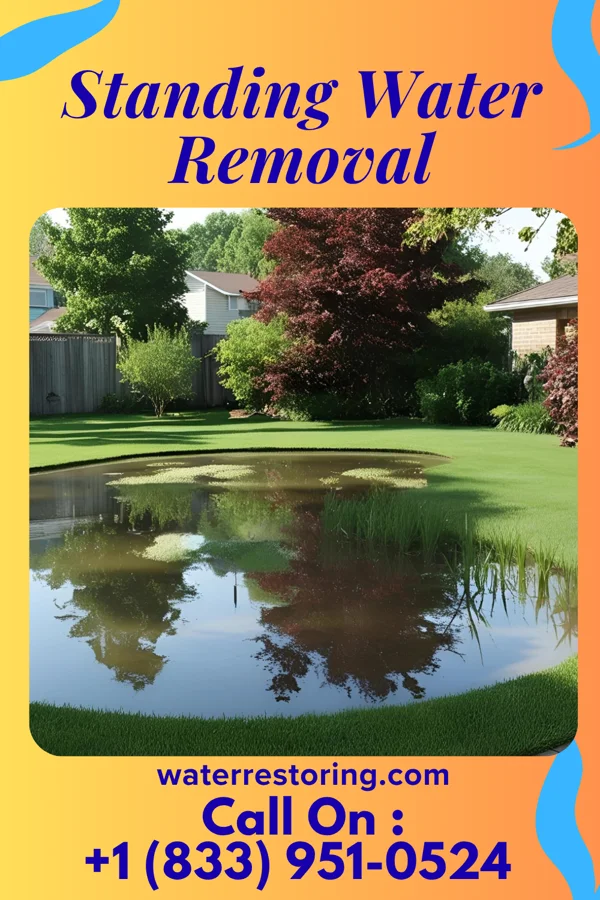 Standing Water Removal in Morrison, IA
